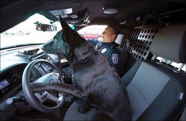 daily picdump 96 pics 42.html - 96 HD Photos | Premium Gallery 2016