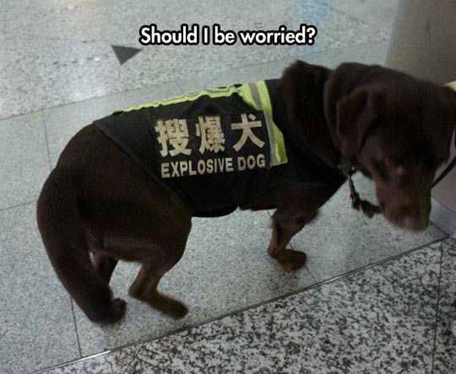 daily picdump 96 pics 42.html - 96 HD Photos | Premium Gallery 2016