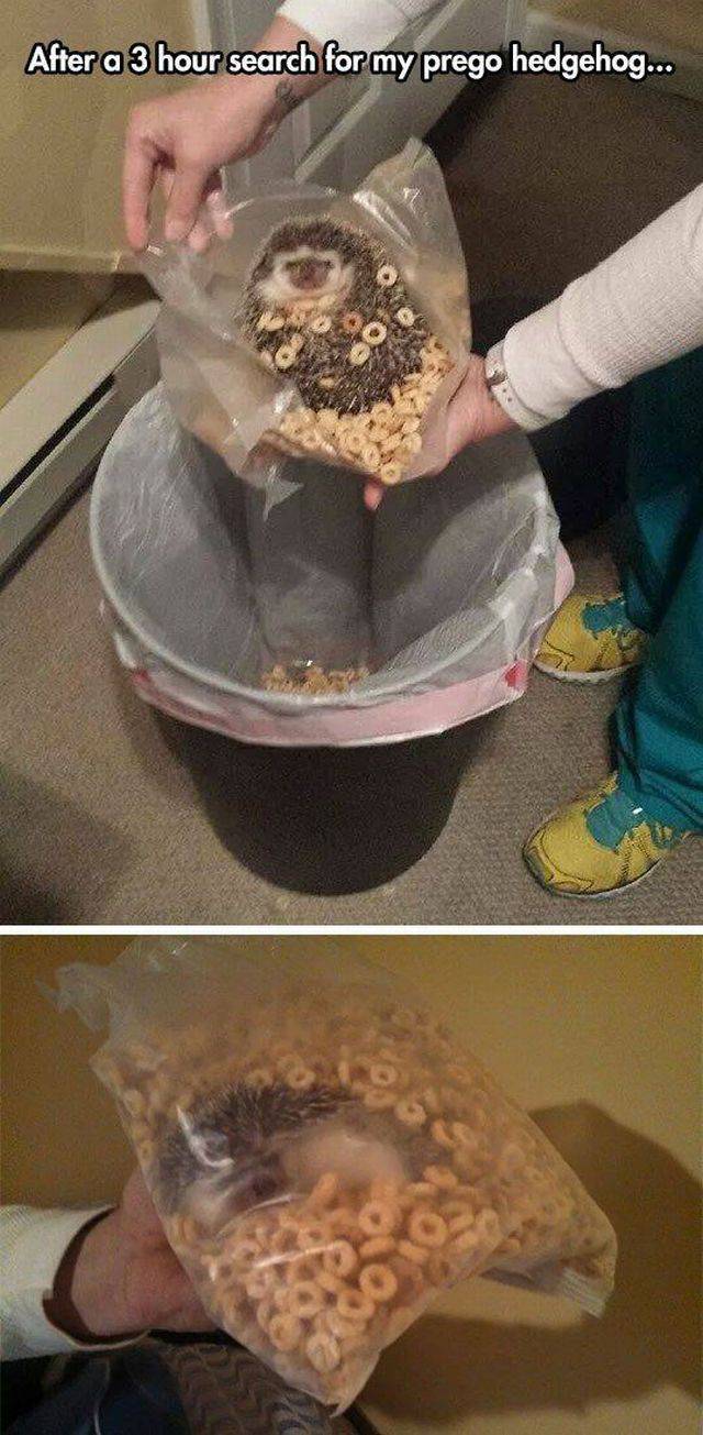 daily picdump 96 pics 42.html - 96 HD Photos | Premium Gallery 2016