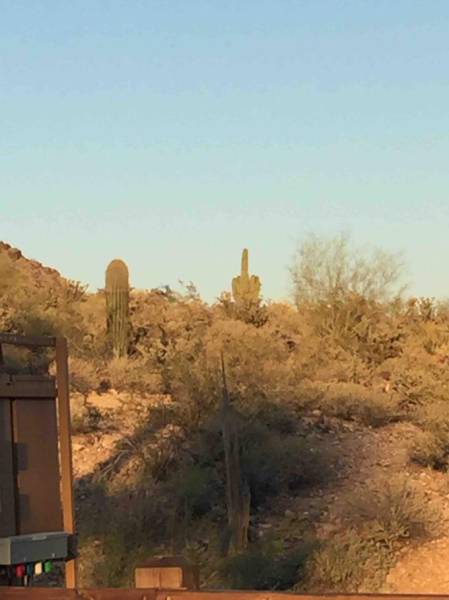 morning picdump 50 pics 24.html - 50 HD Photos | Premium Gallery 2016