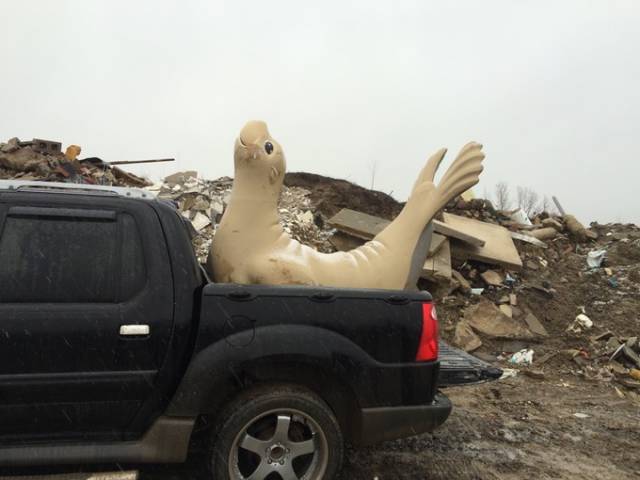 morning picdump 50 pics 24.html - 50 HD Photos | Premium Gallery 2016