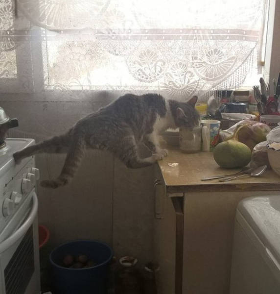 morning picdump 50 pics 24.html - 50 HD Photos | Premium Gallery 2016