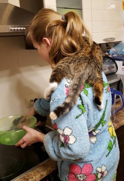 morning picdump 50 pics 24.html - 50 HD Photos | Premium Gallery 2016