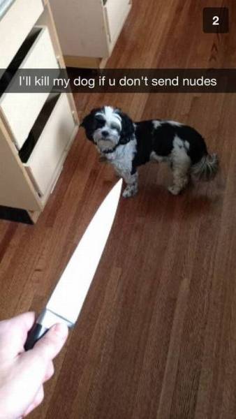 Daily Picdump