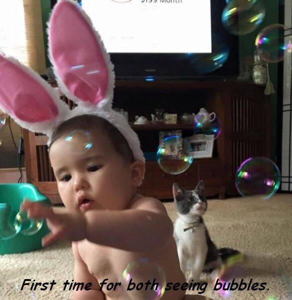 daily picdump 92 pics 21.html - 92 HD Photos | Premium Gallery 2016
