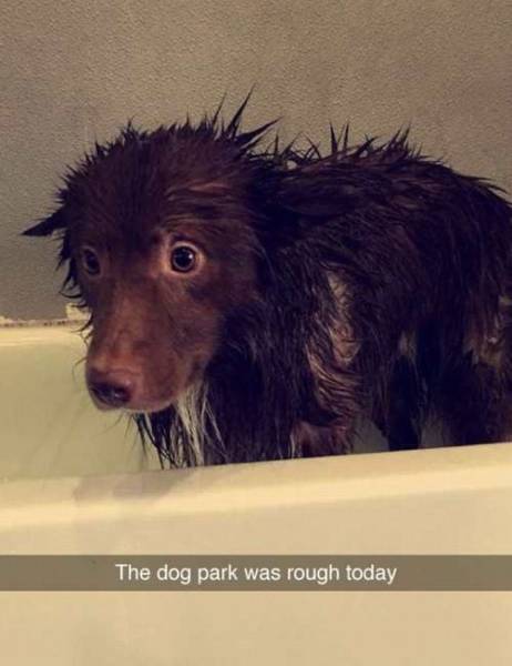Daily Picdump