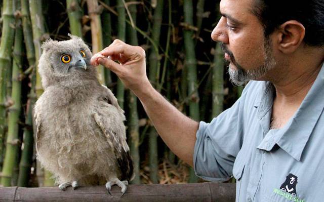 Daily Picdump