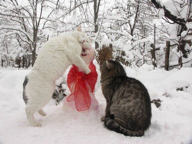 Daily Picdump