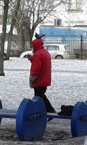 daily picdump 99 pics 41.html - 99 HD Photos | Premium Gallery 2016