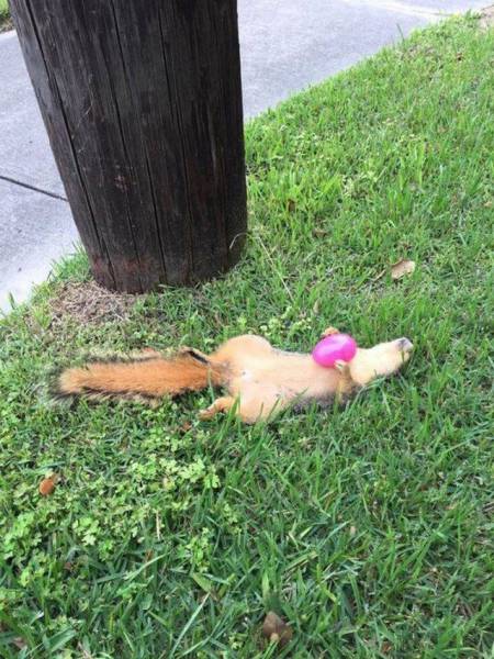 daily picdump 99 pics 41.html - 99 HD Photos | Premium Gallery 2016