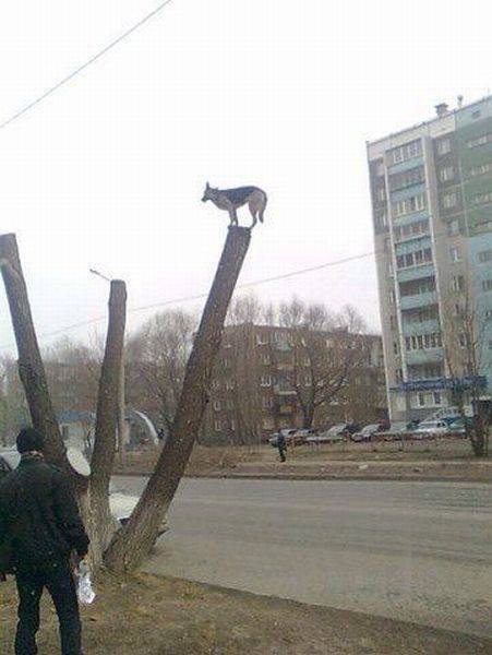 daily picdump 99 pics 41.html - 99 HD Photos | Premium Gallery 2016