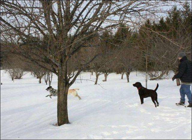 daily picdump 99 pics 41.html - 99 HD Photos | Premium Gallery 2016