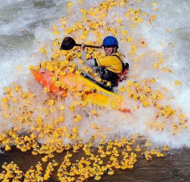 daily picdump 99 pics 41.html - 99 HD Photos | Premium Gallery 2016