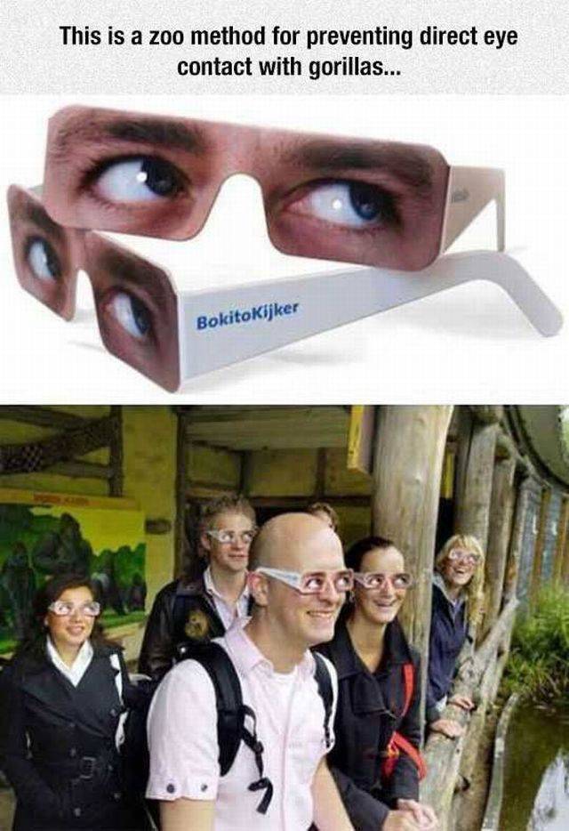 daily picdump 99 pics 41.html - 99 HD Photos | Premium Gallery 2016