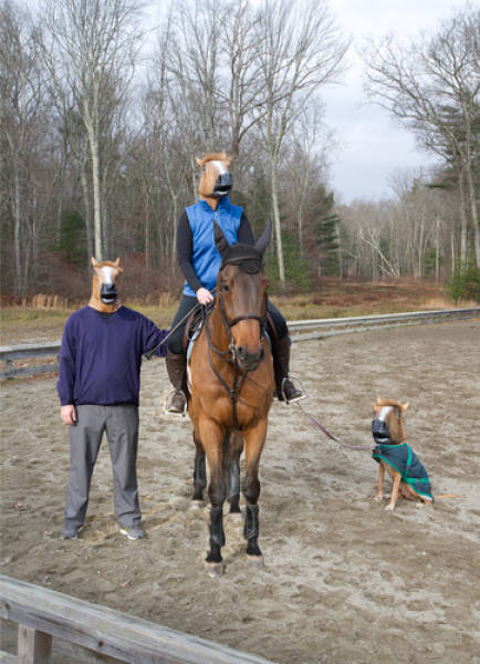 Morning Picdump