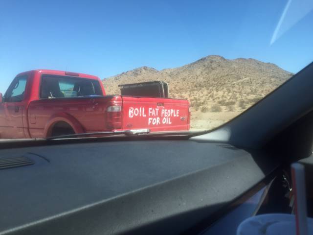 Morning Picdump