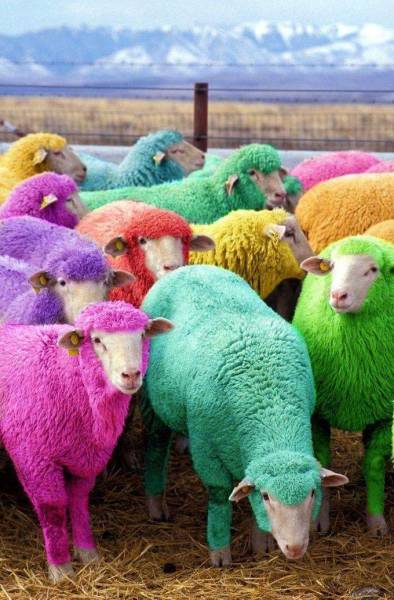 morning picdump 53 pics 16.html - 53 HD Photos | Premium Gallery 2016
