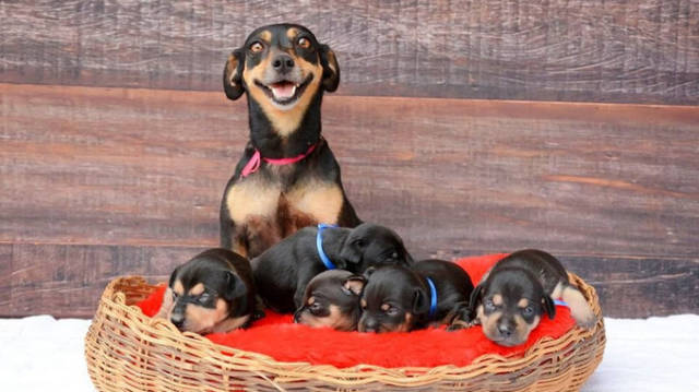 morning picdump 53 pics 16.html - 53 HD Photos | Premium Gallery 2016