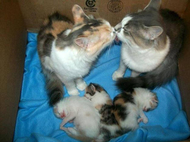 morning picdump 53 pics 19.html - 53 HD Photos | Premium Gallery 2016