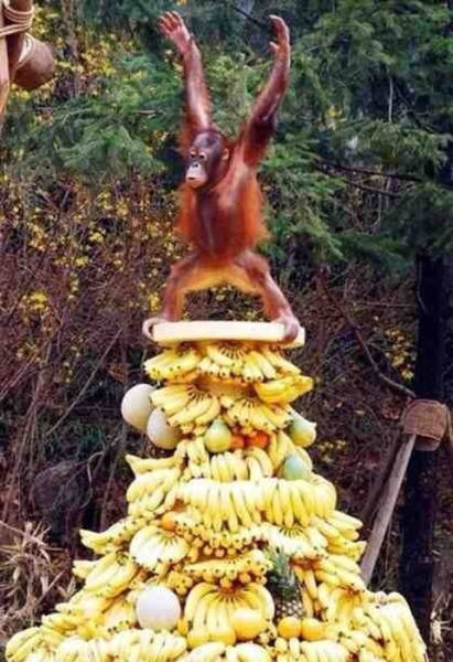 morning picdump 53 pics 19.html - 53 HD Photos | Premium Gallery 2016