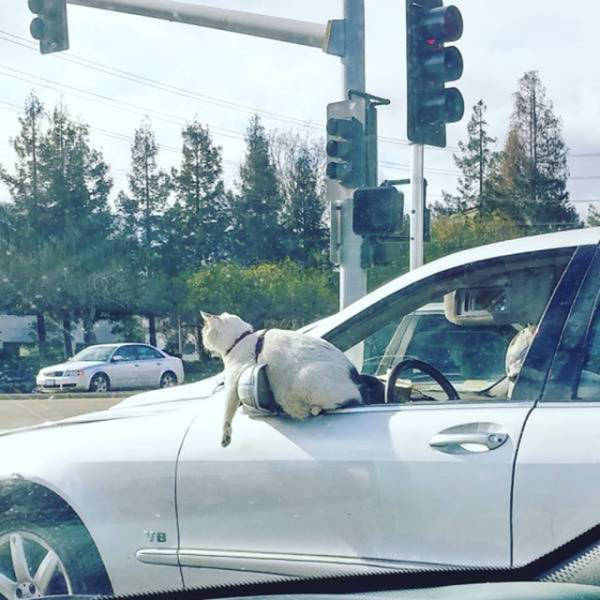 Morning Picdump