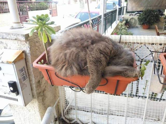 morning picdump 51 pics 12.html - 51 HD Photos | Premium Gallery 2016
