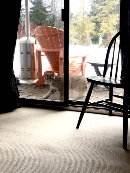 morning picdump 51 pics 17.html - 51 HD Photos | Premium Gallery 2016