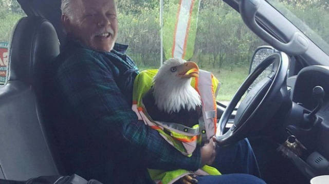 morning picdump 51 pics 17.html - 51 HD Photos | Premium Gallery 2016