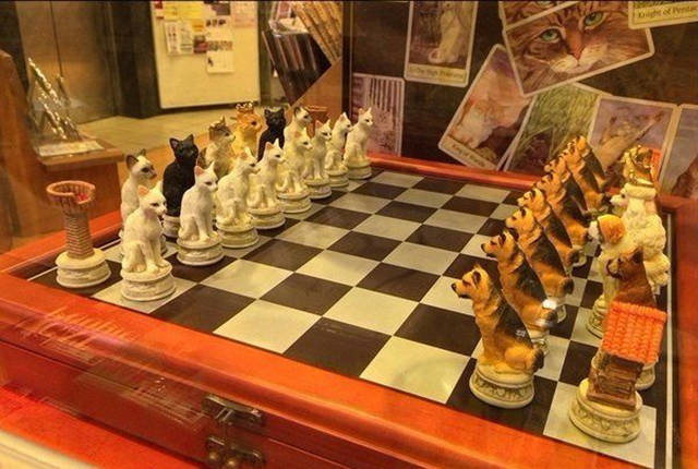 Fascinating Photos That Speak For Themselves