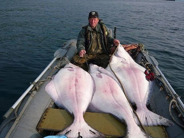 Fascinating Photos That Speak For Themselves