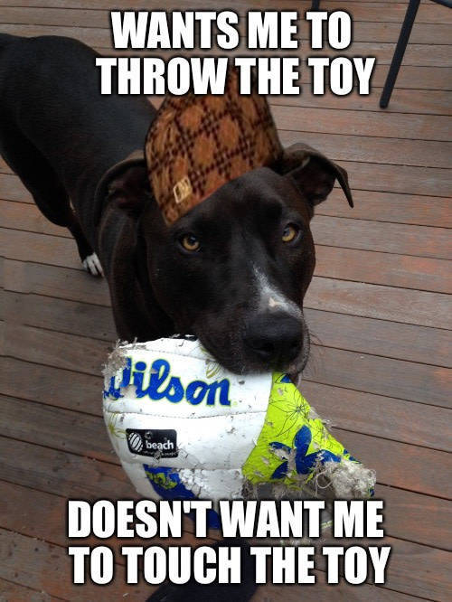 funny picdump 54 pics 20.html - 54 HD Photos | Premium Gallery 2016