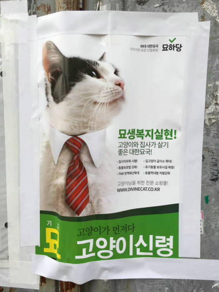 morning picdump 53 pics 3.html - 53 HD Photos | Premium Gallery 2016