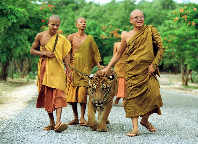 morning picdump 51 pics 5.html - 51 HD Photos | Premium Gallery 2016