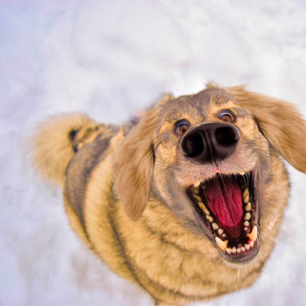 morning picdump 51 pics 5.html - 51 HD Photos | Premium Gallery 2016