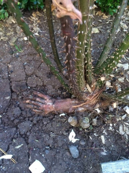 Morning Picdump