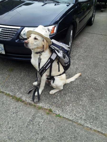 morning picdump 53 pics 7.html - 53 HD Photos | Premium Gallery 2016