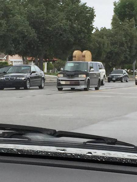 morning picdump 53 pics 7.html - 53 HD Photos | Premium Gallery 2016