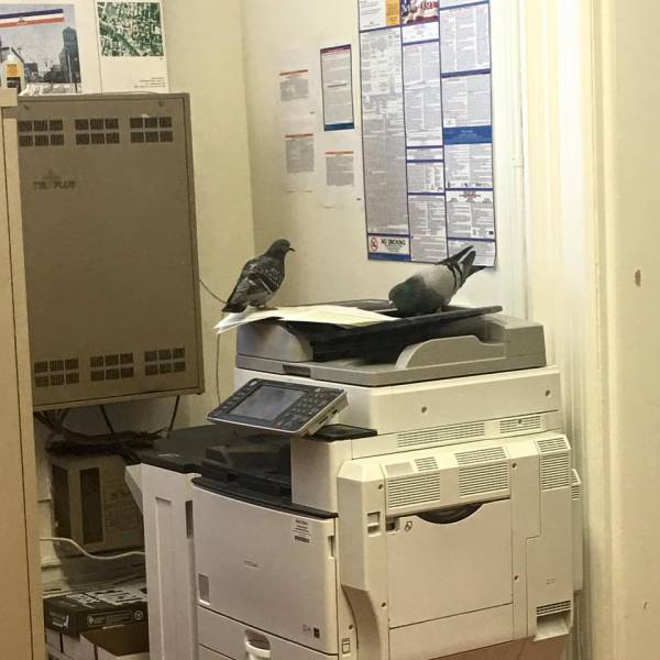 morning picdump 50 pics 3.html - 50 HD Photos | Premium Gallery 2016