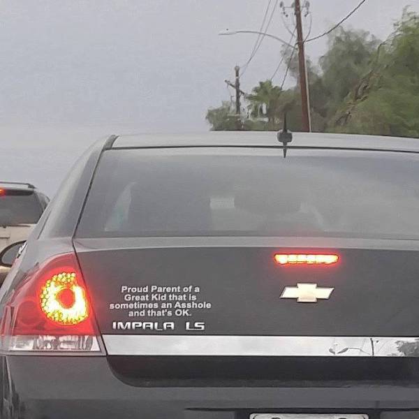 morning picdump 50 pics 3.html - 50 HD Photos | Premium Gallery 2016