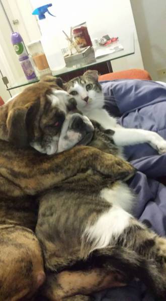 Morning Picdump