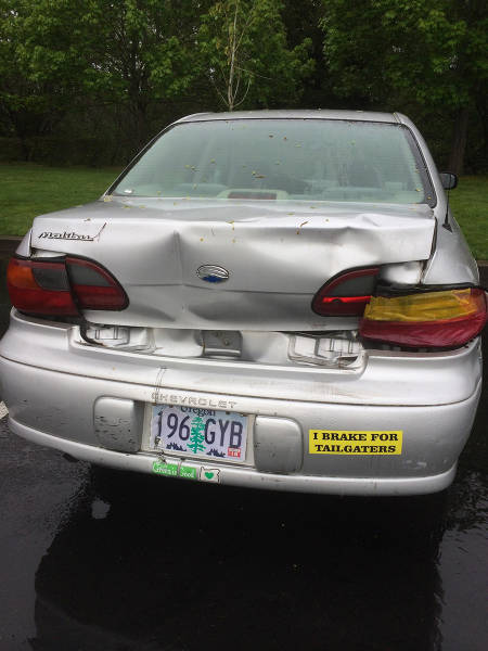 morning picdump 53 pics 16.html - 53 HD Photos | Premium Gallery 2016