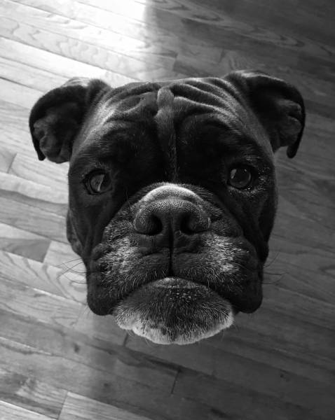 morning picdump 50 pics 20.html - 50 HD Photos | Premium Gallery 2016