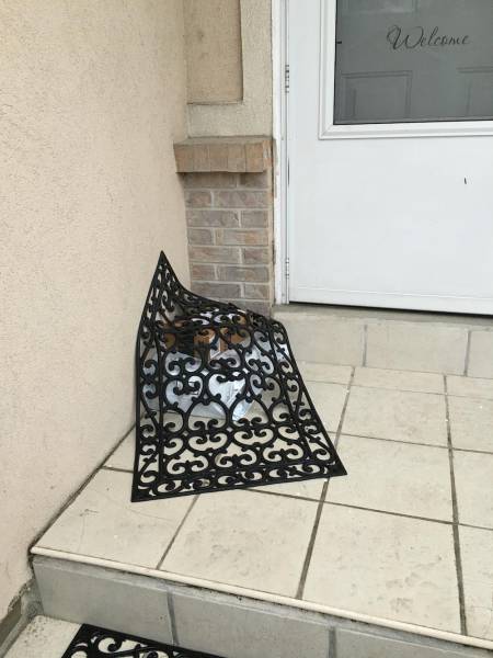 morning picdump 50 pics 20.html - 50 HD Photos | Premium Gallery 2016