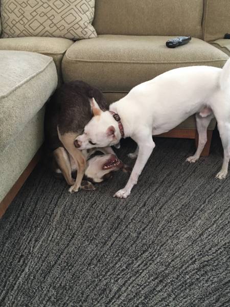 morning picdump 52 pics 2.html - 52 HD Photos | Premium Gallery 2016