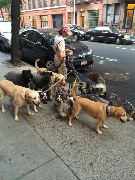 morning picdump 52 pics 2.html - 52 HD Photos | Premium Gallery 2016