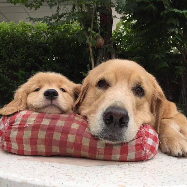 morning picdump 53 pics 14.html - 53 HD Photos | Premium Gallery 2016