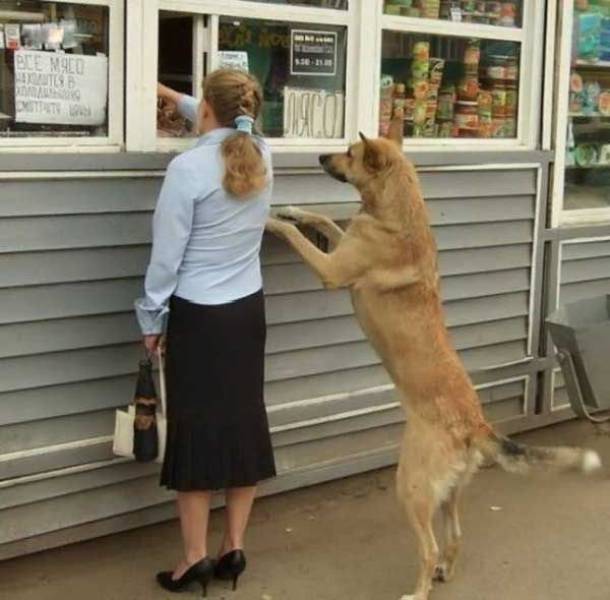Morning Picdump
