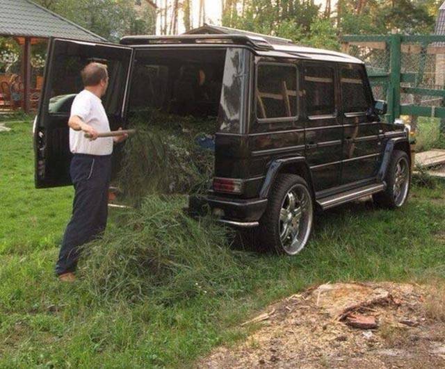 Morning Picdump