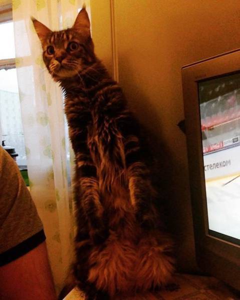 Morning Picdump