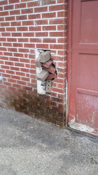 Morning Picdump
